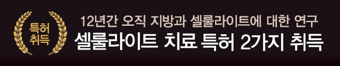 셀룰라이트 특허 출원 2건